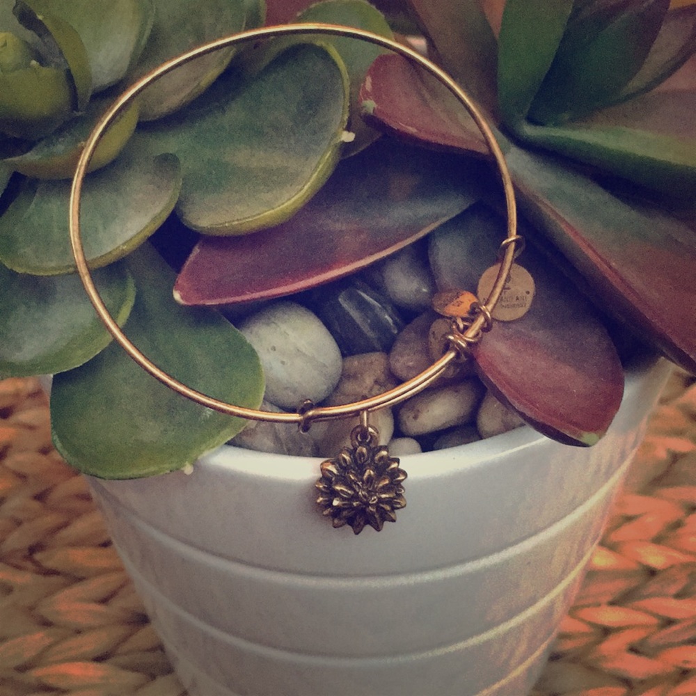 Alex and Ani Bangle